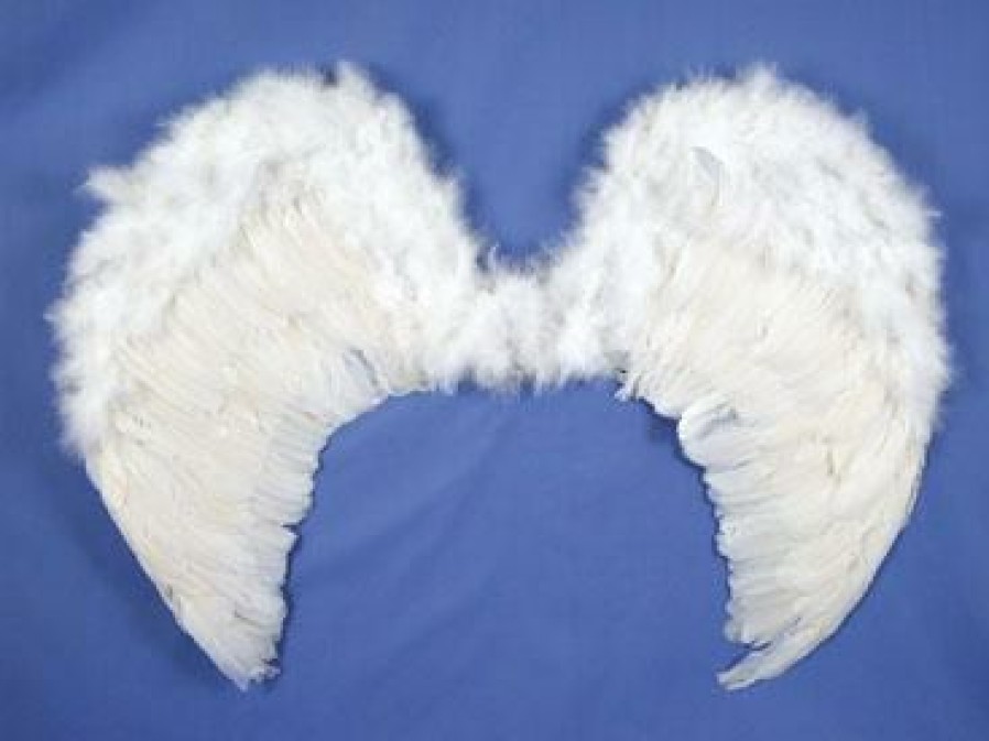 Christmas * | Hm Smallwares Feather 31 Wings Christmas Accessories