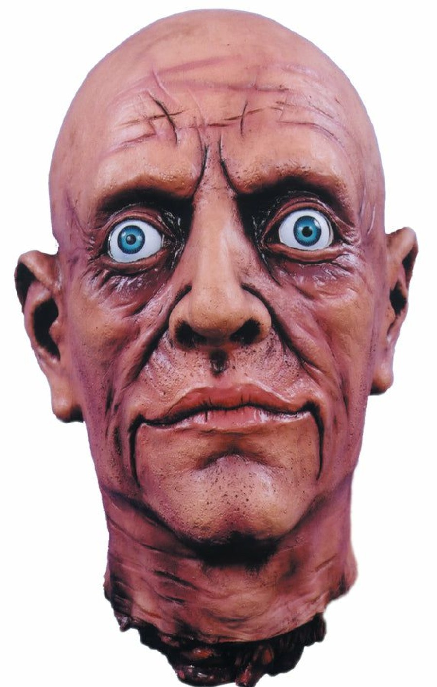 Halloween * | Rubies Body Parts Severed Head Prop