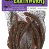 Halloween * | Fun World Earthworm Prop 8/Pcs Indoor Decor