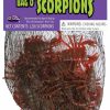 Halloween * | Fun World Scorpion Prop 20/Pcs Indoor Decor