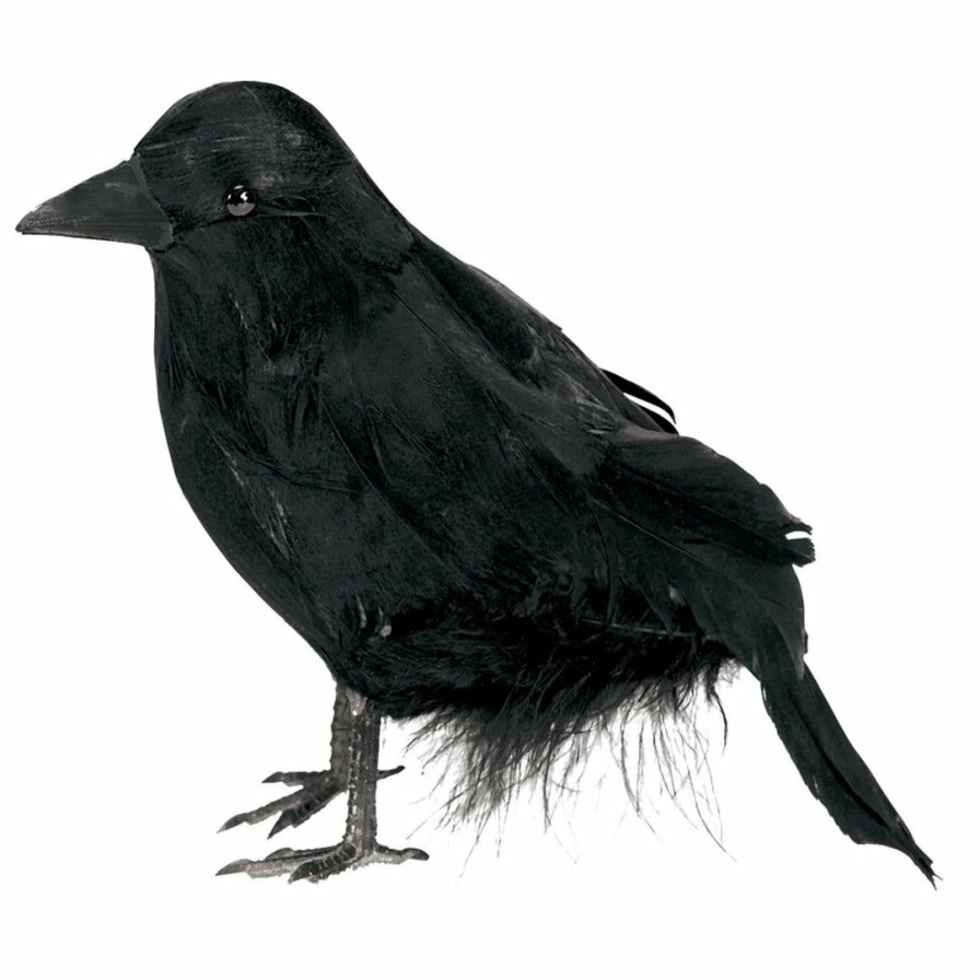 Halloween * | Amscan Small Feathered Raven