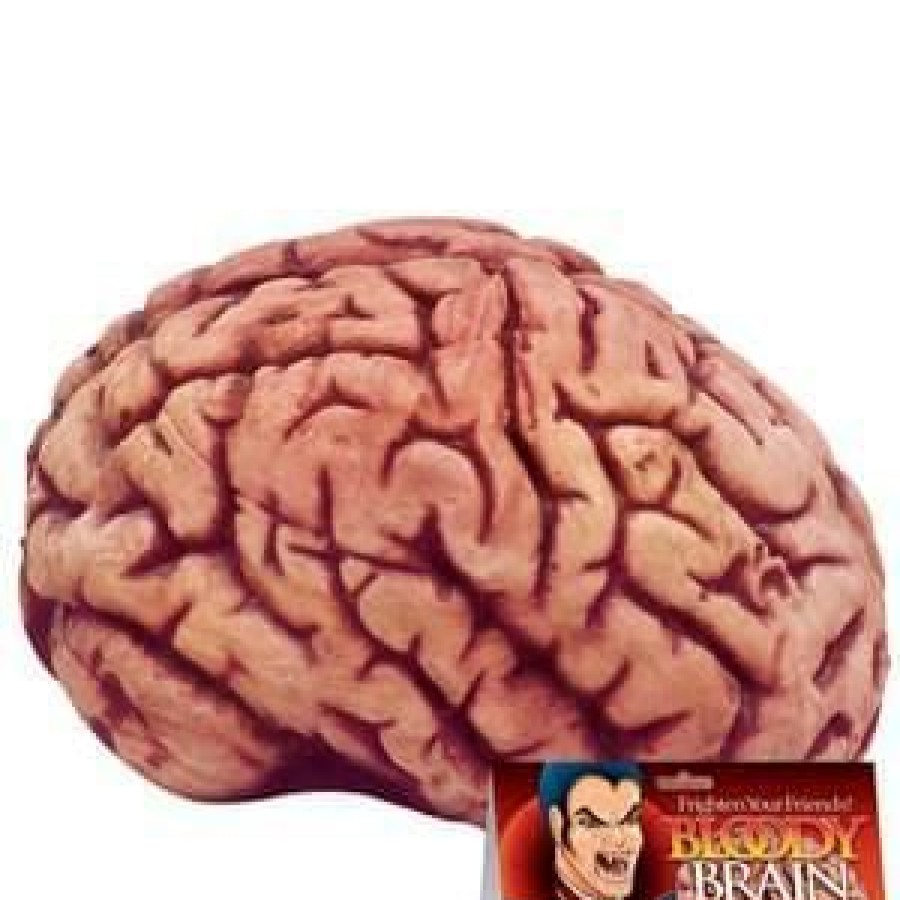 Halloween * | Loftus Bloody Brain Prop