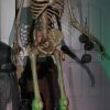 Halloween * | Morris Costumes 8 Towering Skeleton Animated Prop Electronic And Animated Props