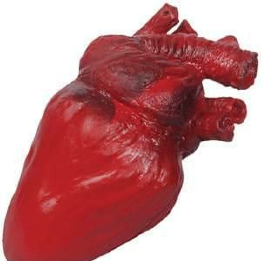 Halloween * | 24 Bloody Heart Prop Body Parts