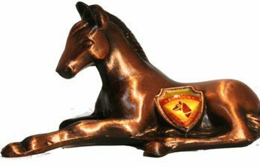 Derby * | Caufields Bronze Resting Foal Equestrian Gifts