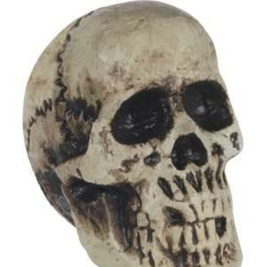 Halloween * | Loftus Foam Skull Prop